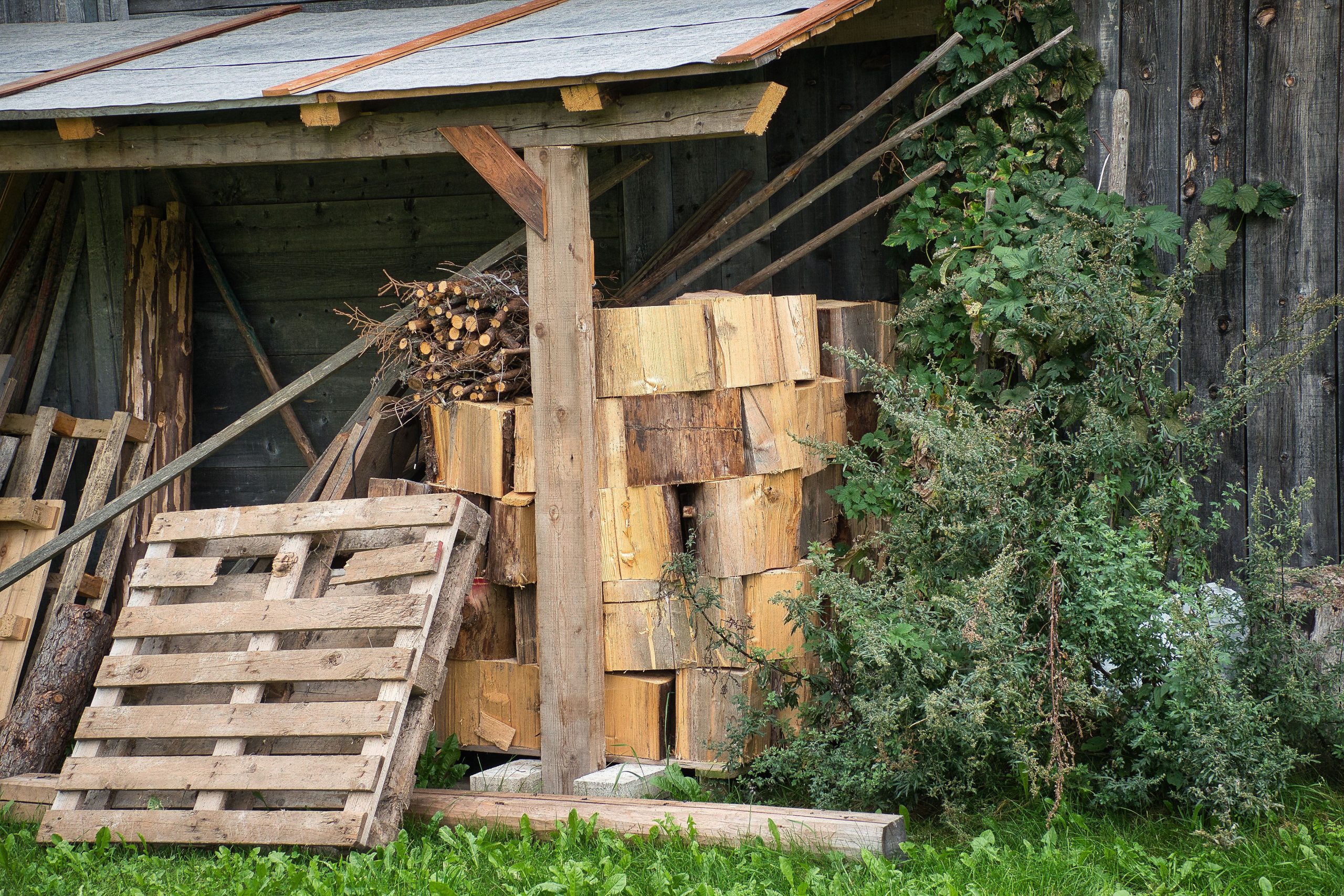 Abri de jardin rustique avec bois de chauffage