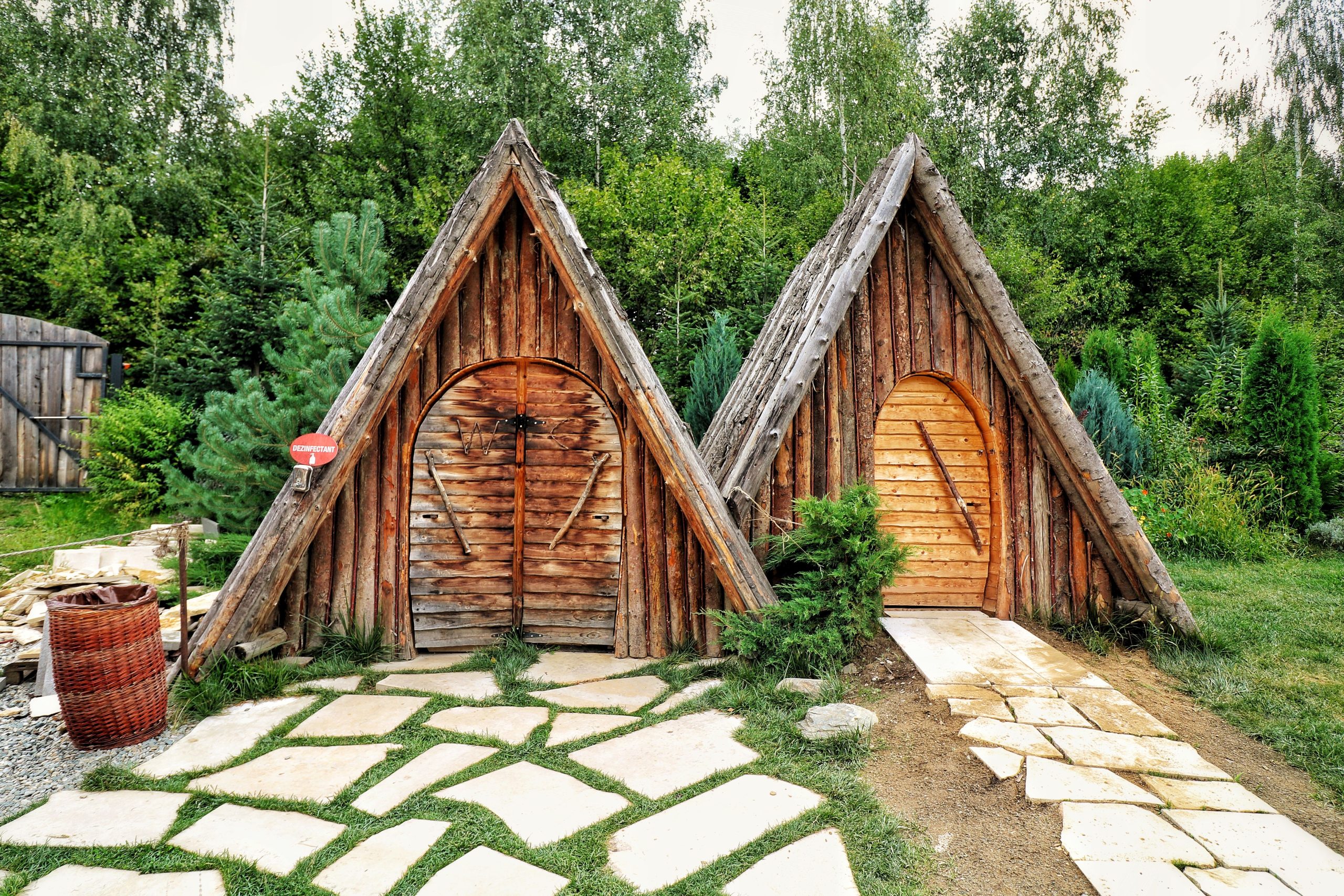 Deux cabanes bois dans forêt luxuriante