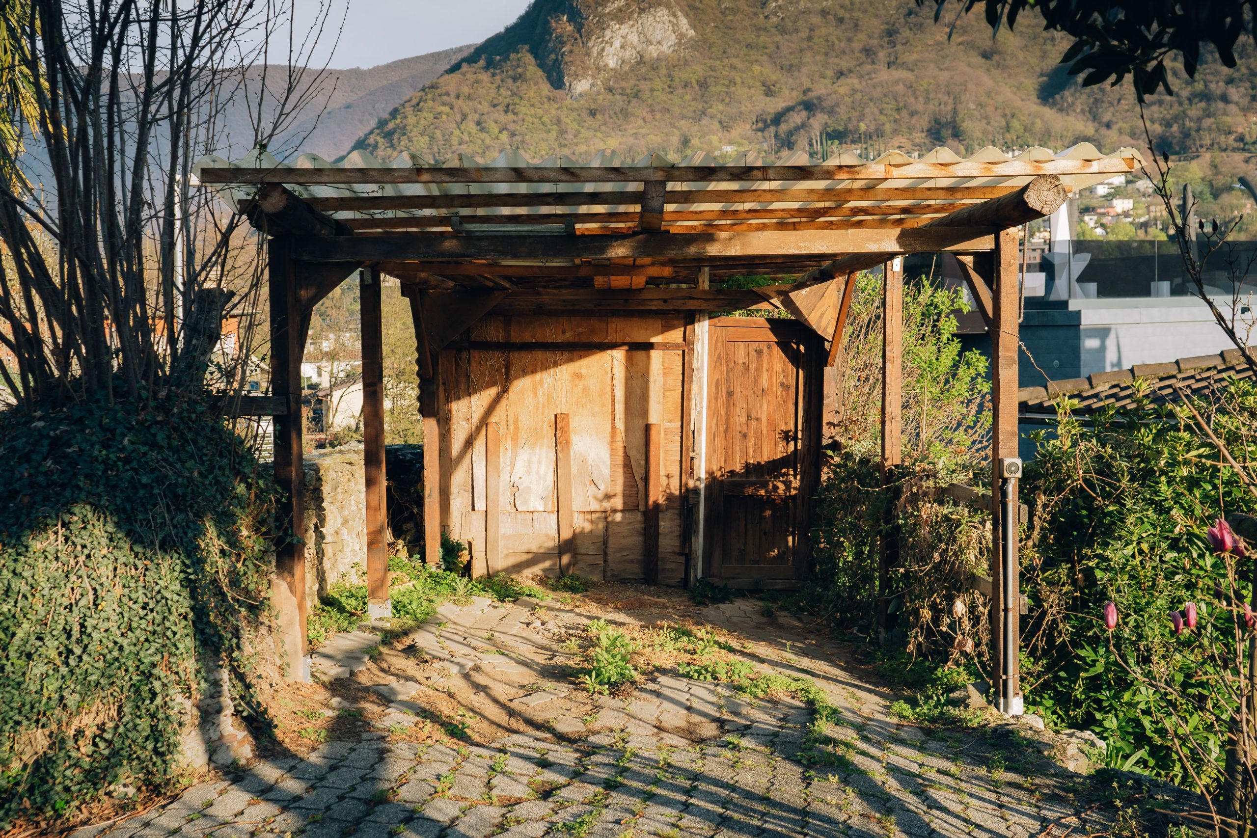 Abri rustique bois montagne paysage naturel