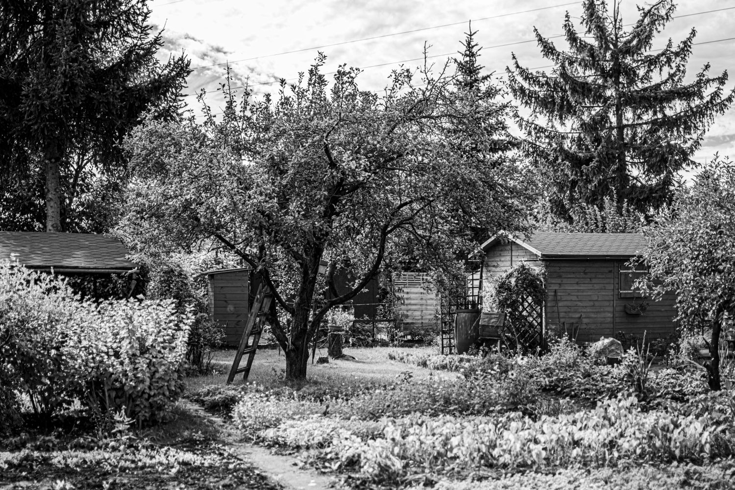 Abri de jardin à Nice : quel modèle choisir pour ton jardin ?