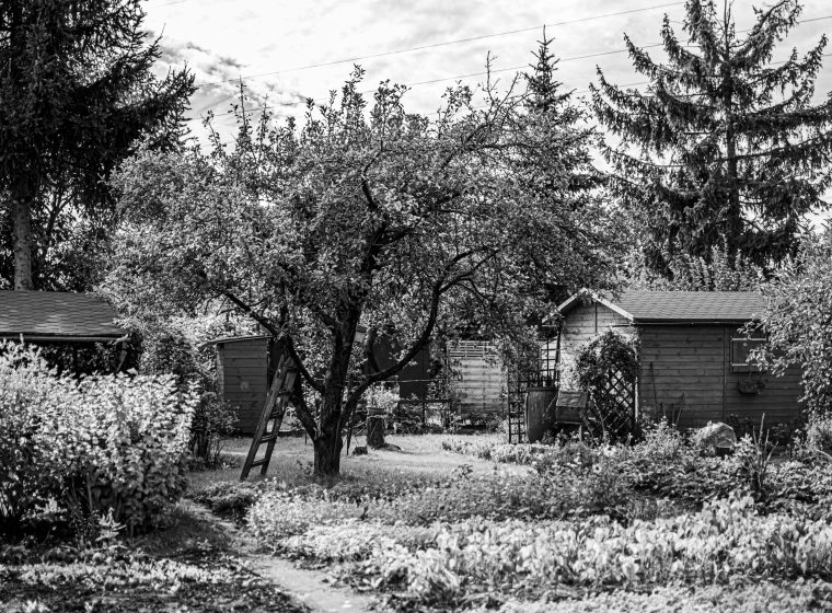 Abri de jardin à Nice : quel modèle choisir pour ton jardin ?