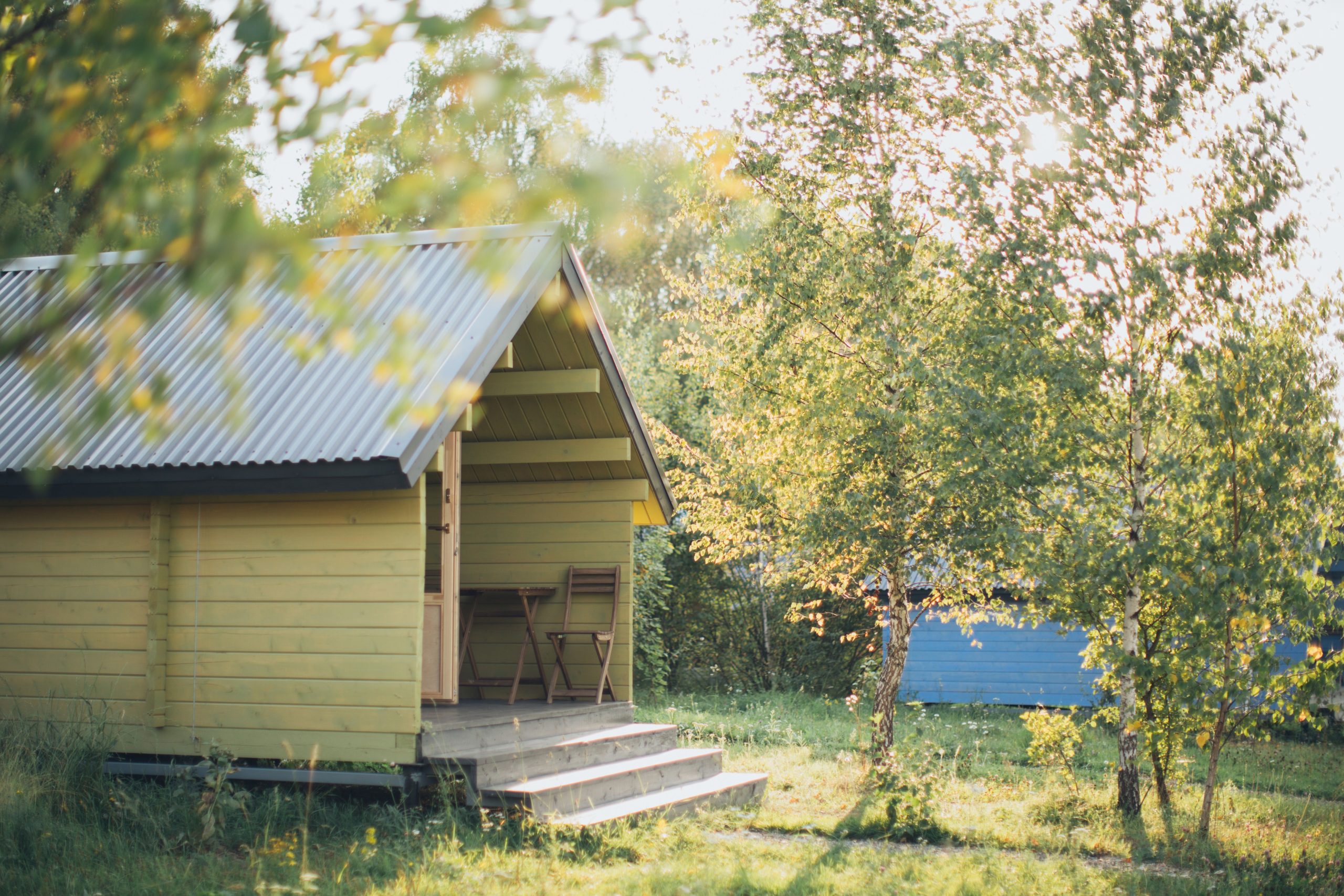 Cabine en bois sereine entourée d'arbres en forêt ensoleillée.