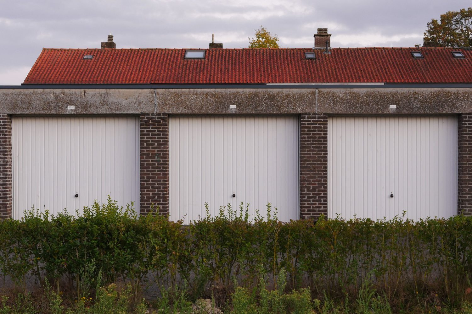 Garage bois 20m2 : quel budget et quel bois choisir ?