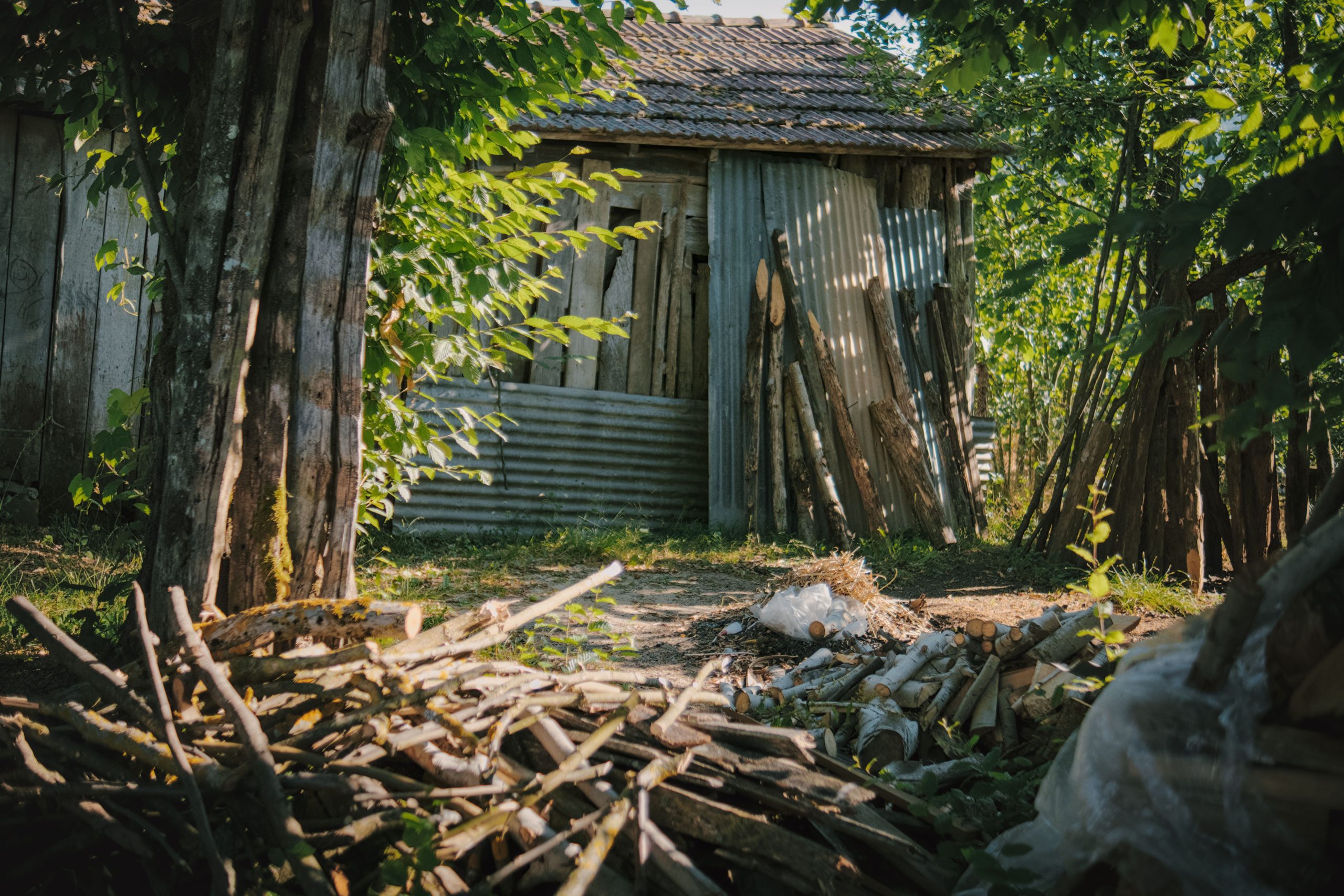 Abri de jardin avec bois de chauffage et verdure