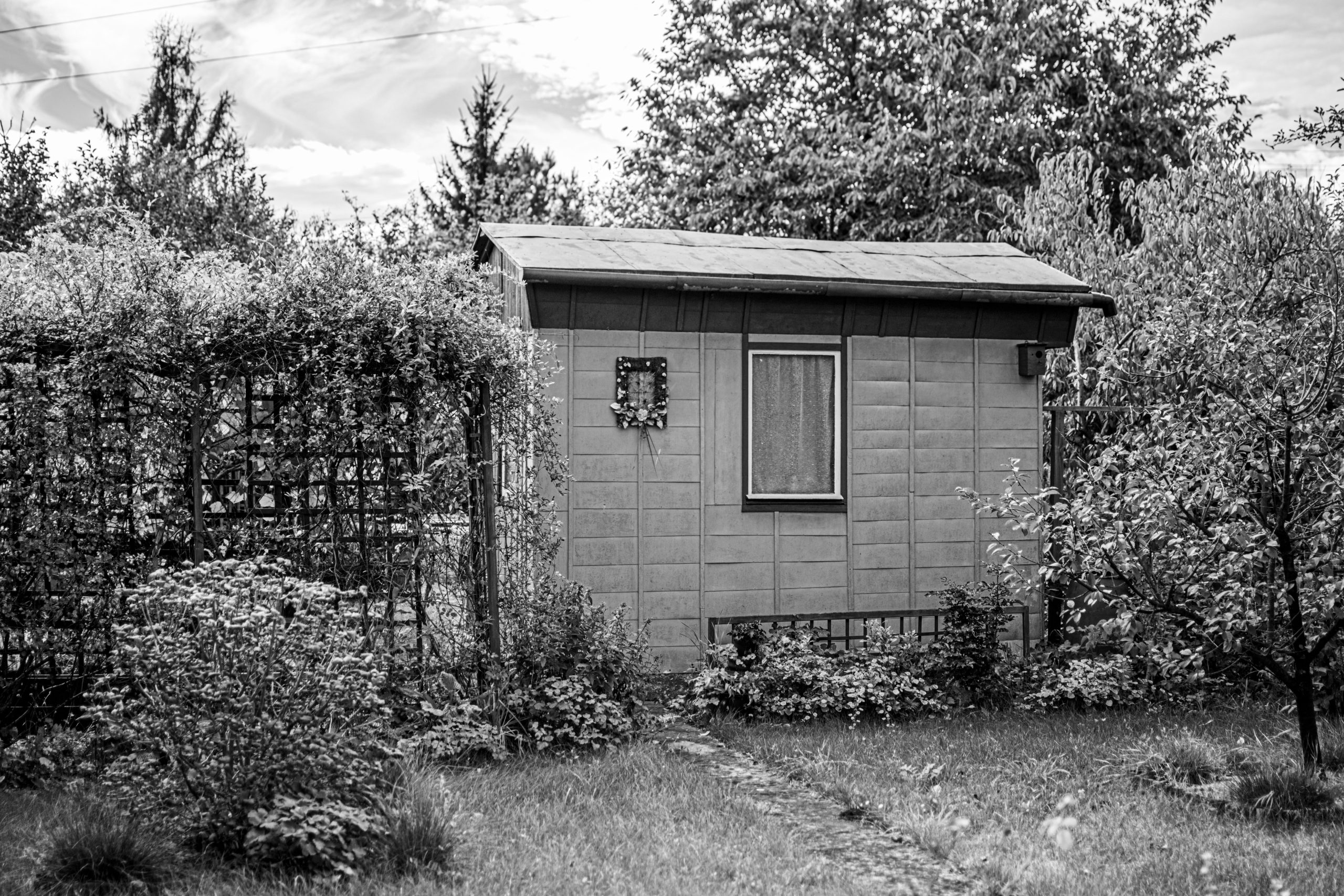 Jardin paisible avec un abri isolé en noir et blanc